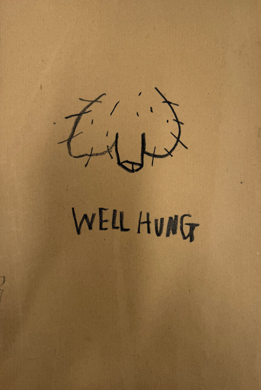 Well Hung